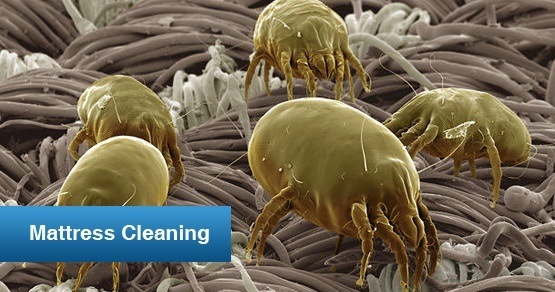 Mattress cleaning